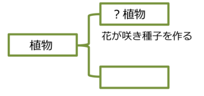 フロー 1 1 3 3 植物の分類