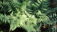 21917390548_7a697ea7a5_m