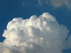 311371574_89e5d1a237_m