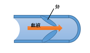 スクリーンショット (327)