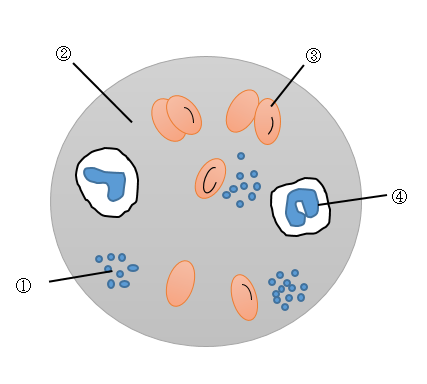 スクリーンショット (330)