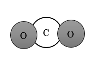 スクリーンショット (338)