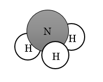 スクリーンショット (339)