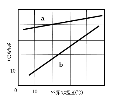 スクリーンショット (342)